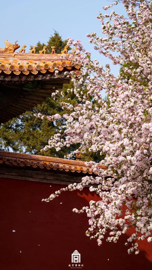 故宫四季美景一览，震撼高清美图预警！