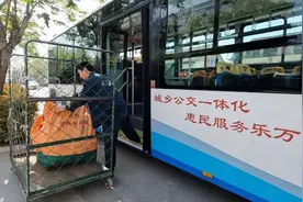 每次5元起！日照这些线路太方便了！图片