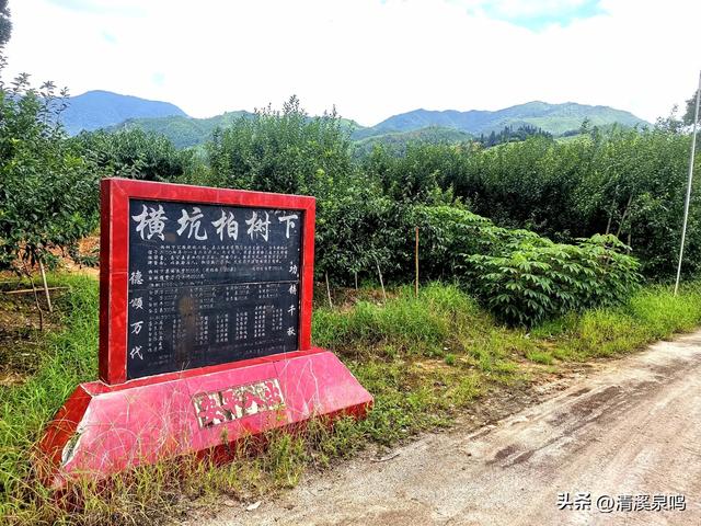 溪山环处的旧影与新绿共长——记柏树下村