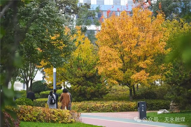 【联动宣传】天水的初冬，美得“从从容容，游刃有余”