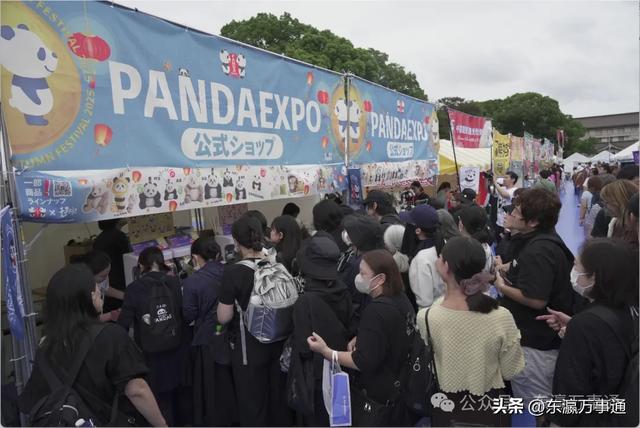 上野熊猫中秋节火热进行时:游客如织,共享佳节