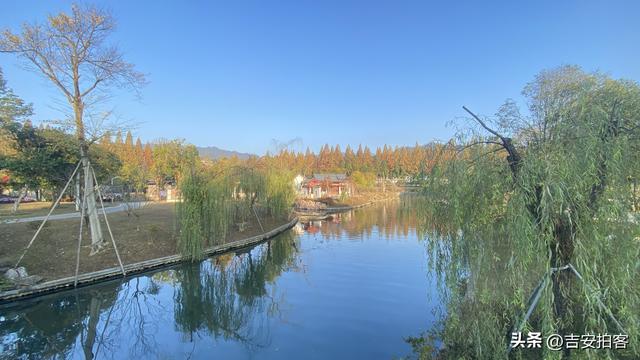 美丽吉安：初冬的井冈山挹翠湖公园风光迷人（摄/王伟）