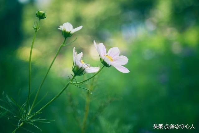 两性关系：情人已过时，现在流行5种关系，你属于哪一种？