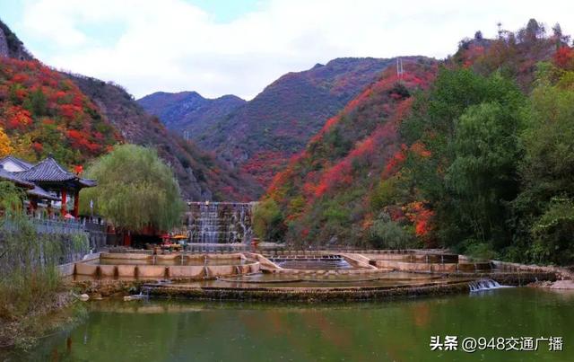秋色限定！自驾郧阳230省道，闯入十堰的“红叶天堂”