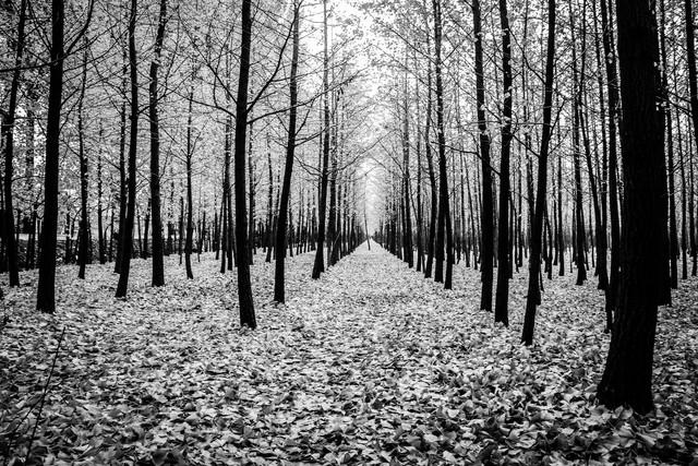 不管你信不信，女性过63岁后，基本都有如下6个现状！要坦然接受