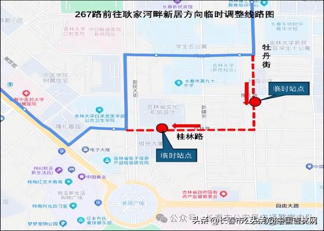 特别聚焦｜主打一个“听劝”！长春新民大街“周末步行街”走起！