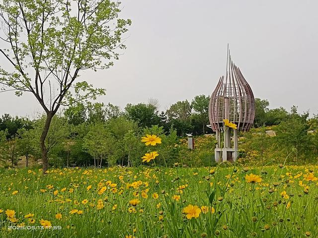 天齐渊，上古八大神之首所在地。