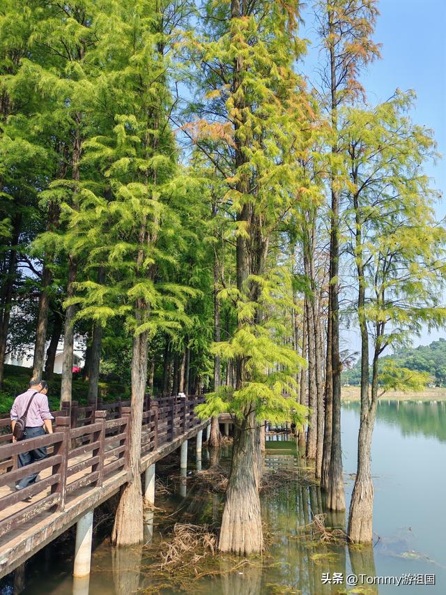 开着房车去流浪：打卡湖南省植物园