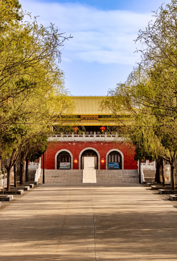 我是上海大学生，刚游完诸城，憋了 6 个疑问不吐不快！