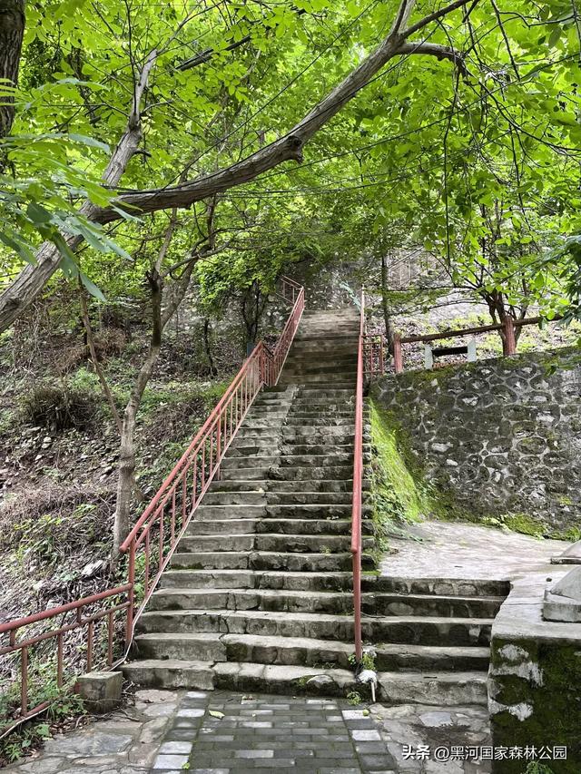 周末2h自驾消暑游,在黑河开启夏日清凉模式!