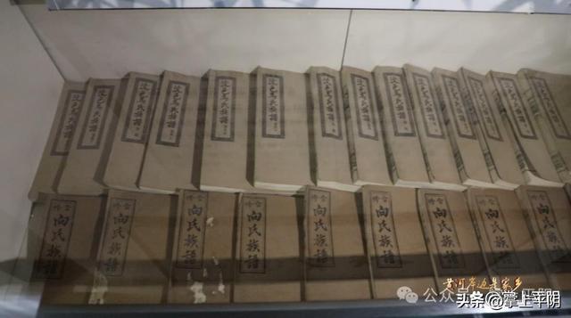 黄河岸边是家乡｜一馆阅千年：孝直镇和孝文化博物馆里的黄河印记