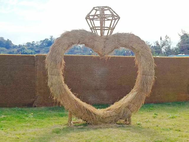 定了！木兰花谷1月17日起全城免费送票啦~