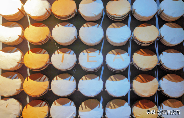 全球达人“种草”！云南入选全球2026年最值得去的地方