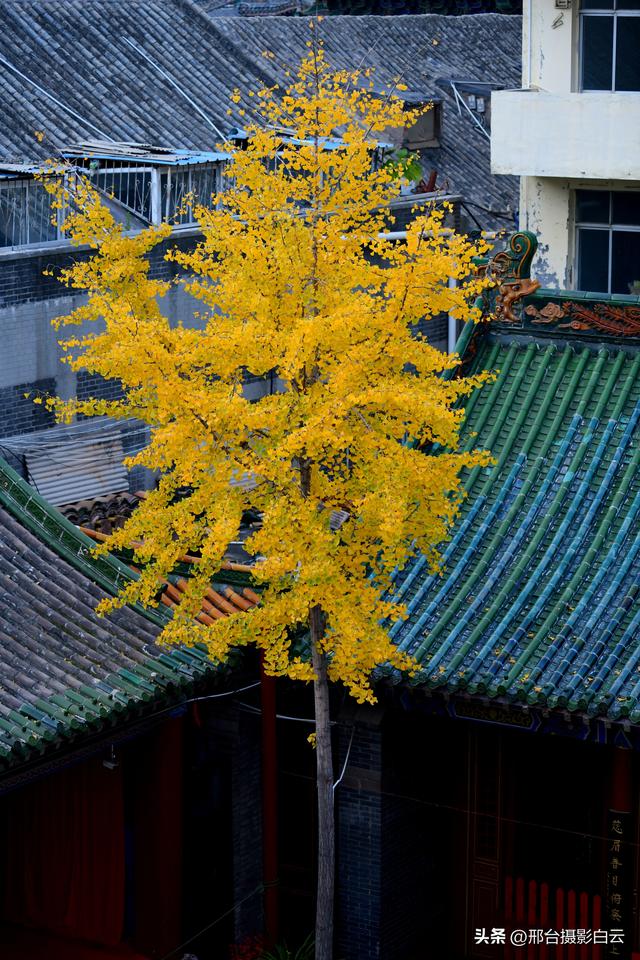 邢台火神庙：邂逅一场千年之约的绝美秋色（图/原创）