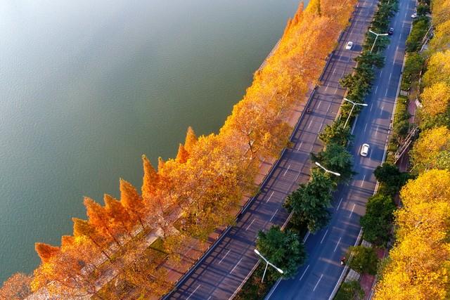 今日小雪初晴，襄阳变身美拉德色系的山水画框！