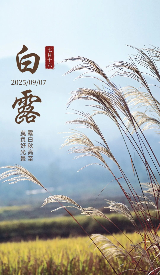 白露图片海报文案，白露朋友圈祝福问候语句子