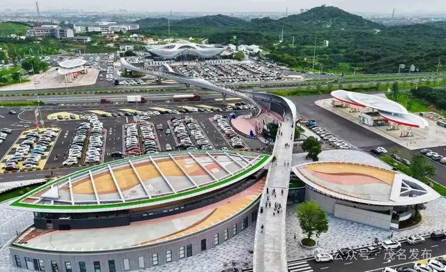 茂名新观察⑧ | 柏桥服务区为何这么“火”