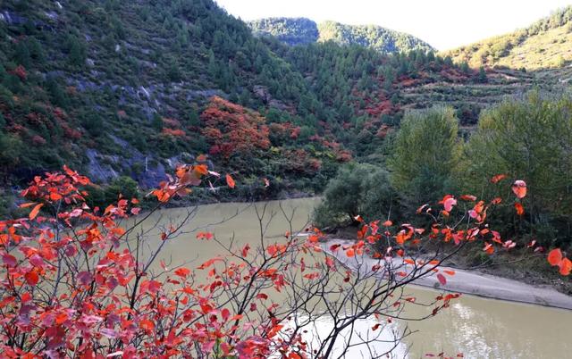 不到西坡，怎知秋色如许？