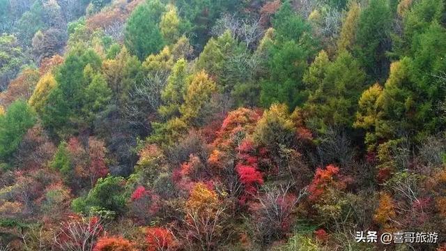 白石砬子：辽东半岛的“绿色方舟”，藏着你未曾见过的原始秘境