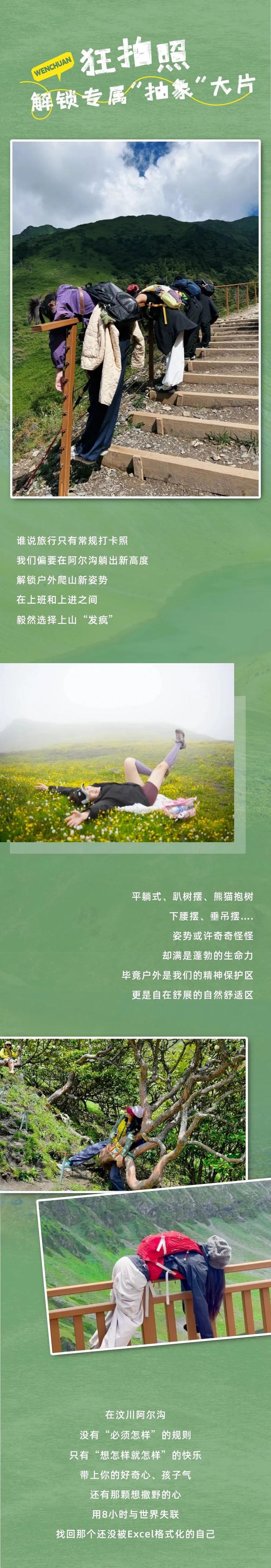 站在阿尔沟的山顶，每一阵风吹过，你都是顶流~