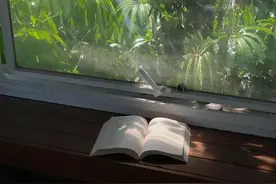 惊艳作文素材累积开头结尾图片