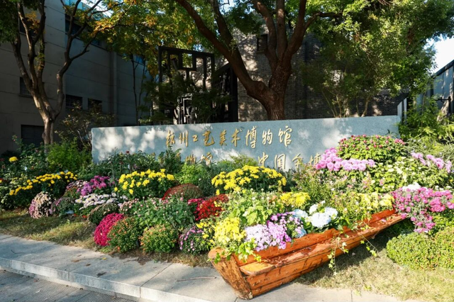 230种“秋韵”上线！拱墅这片花海藏不住了