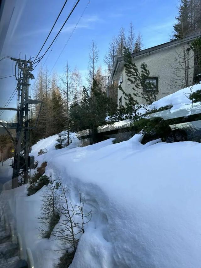 德国、奥地利之旅