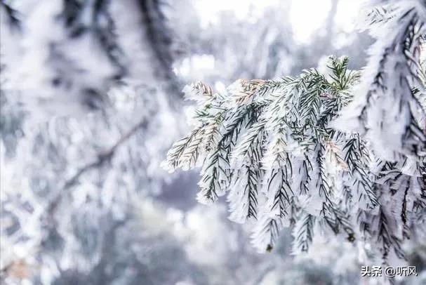 2026最冷天气确定，三九寒天时间表出炉！春节穿啥才能更暖和体面