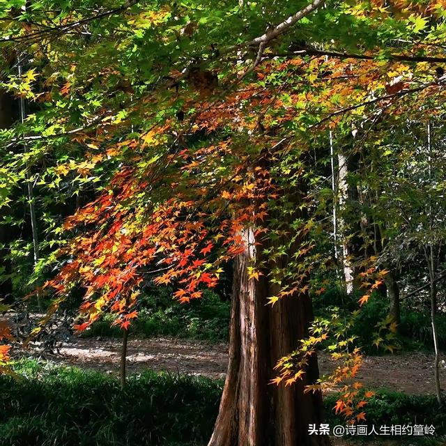 旅行就像是在开“盲盒”，随时有惊喜，你觉得呢？