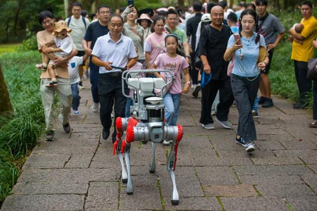 奋进的南平·我们的“十四五”｜从武夷山“一枝独秀”到全域“多点开花”，南平文旅频出圈