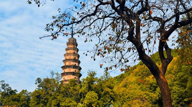济南灵岩寺千年银杏黄了！这一抹金黄，令人陶醉