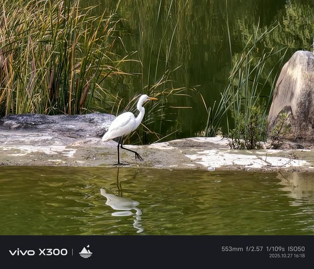 vivo X300上手体验：小屏旗舰的影像与性能巅峰之作