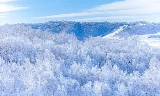 今年冬至十年难遇，冬至在月头，春节单衣过，2026年春节会冷吗