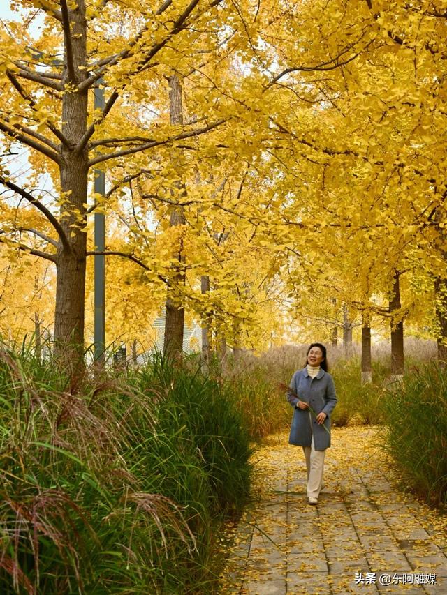 【今日立冬】秋景仍在，东阿中医药文化旅游区邀您共赴赏景之旅！