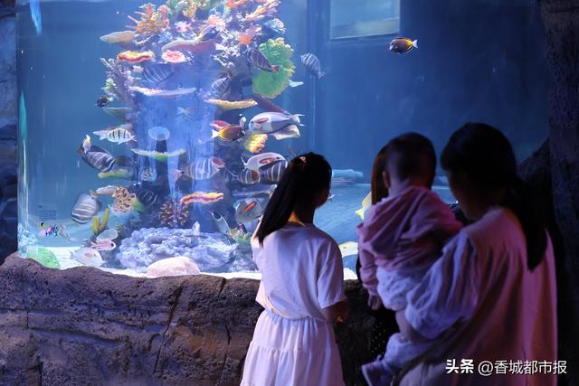 大型演唱会赋能 影视热化为旅游热 ——襄阳文旅融合绘就发展上行线