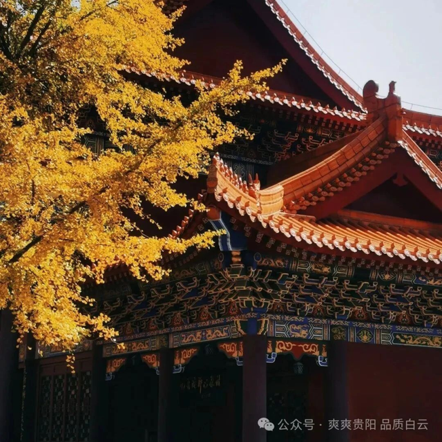 错过又要等一年！走，抓住贵阳短暂的秋，来一场ParkWalk→