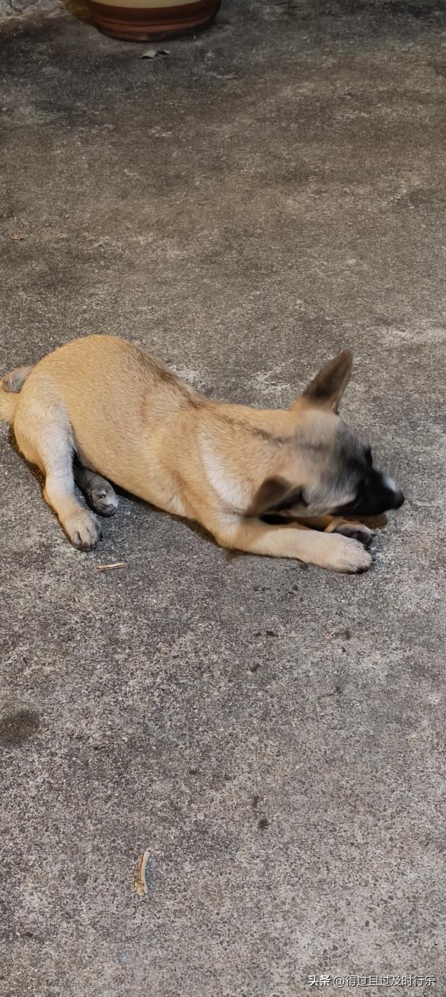 婺源游记-01慢品人间烟火