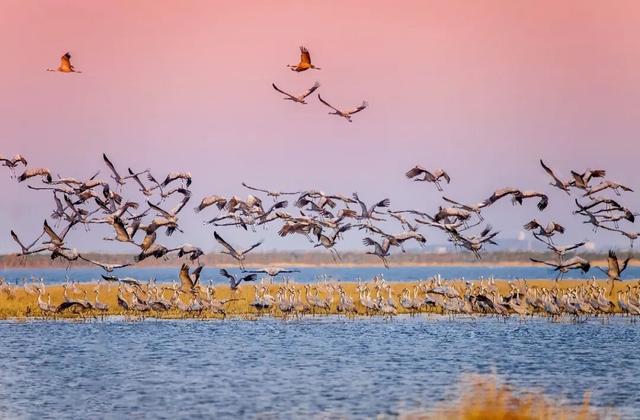 观鸟专线来了！本周六首发，往返29.9元/人