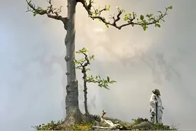 庭院树木之“王”——朴树，这么漂亮，你见过吗？图片