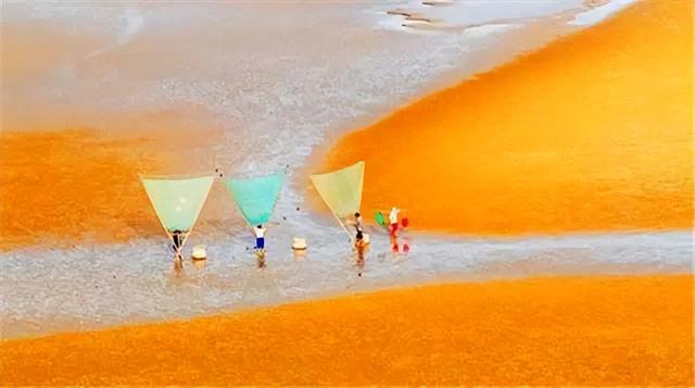 这是油画还是实景？太美太美啦！！