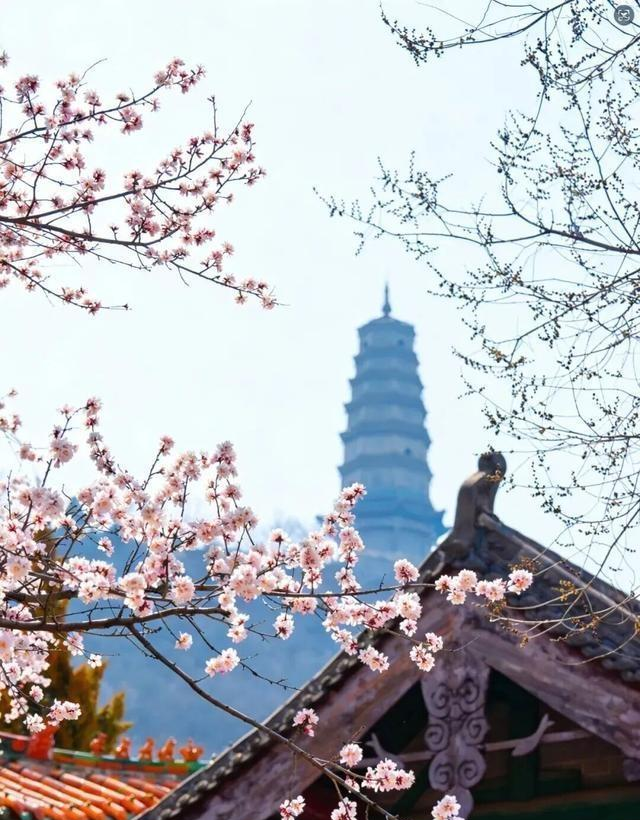 山西4A景区敢免票，五月底前全国免费，山风一吹爽到想辞职