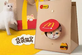 麦当劳人气猫窝回归，麦乐送外送到家场景再升级图片