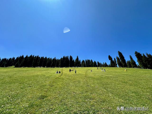 自驾北疆秘境江布拉克，雪山森林草地麦田交相辉映，媲美那拉提