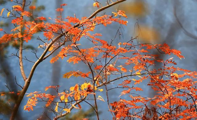 天池「初妆」，素颜静好
