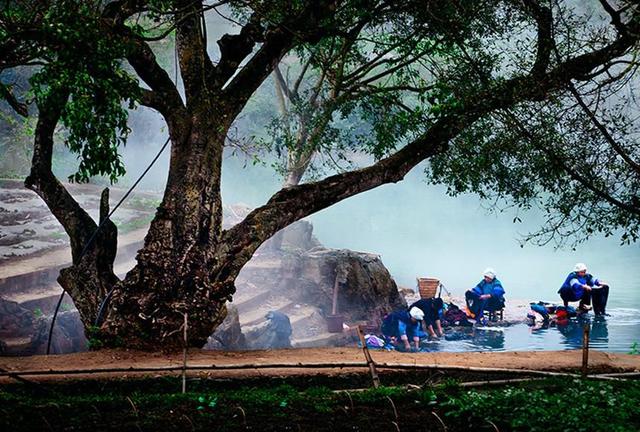 带着孙女去旅行（168）罗平油菜花海游