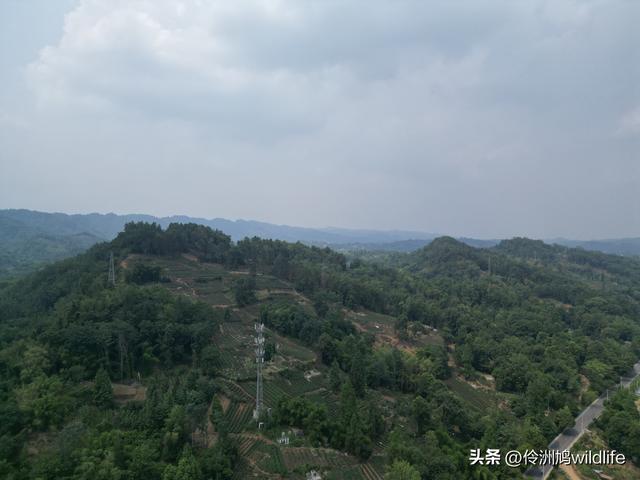 成都古镇（16）邛崃夹关古镇