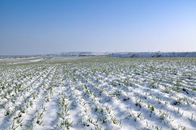 “雪大不大，就看九月三十”，今日九月三十，今年冬天有大雪吗？