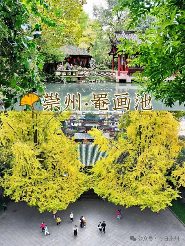 秋假去哪？崇州这些亲子游宝藏地不容错过