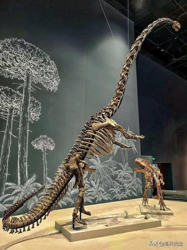 恐龙既不温血也不冷血？化石标记物揭秘，中温性成灭绝关键