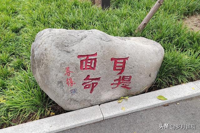 逛淇县公园，知成语故事